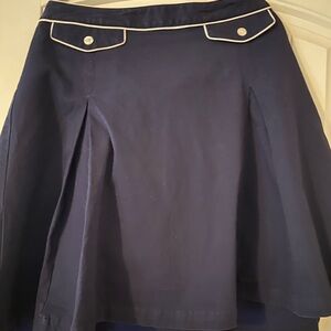 Isaac Mizrahi Blue A-Line Pleated Work Skirt